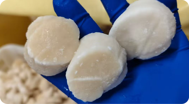 SEA SCALLOP MEAT