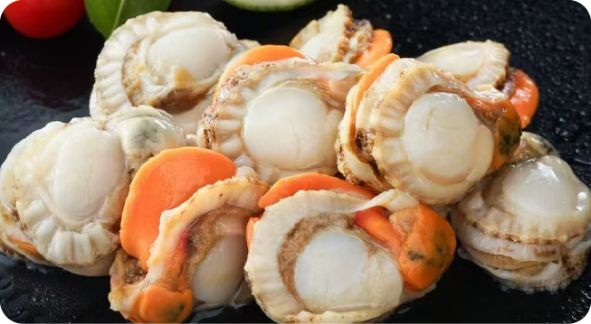 BOILED SCALLOP MEAT