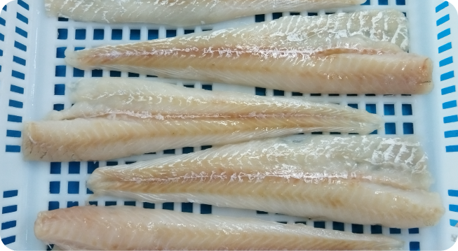 ALASKA POLLOCK FILLET